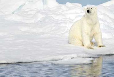 Cruise naar Groenland Newfoundland en Canada met Azamara