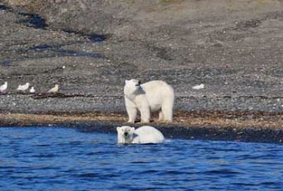 Cruise naar Groenland en Spitsbergen met Crystal Cruises