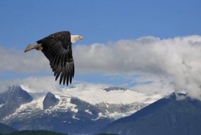 Cruise van Juneau naar Vancouver met Seabourn