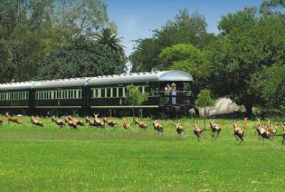 Riviercruise over de Chobe Rivier met AmaWaterways