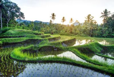 Cruise naar Indonesië met Holland America Line