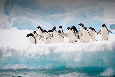 Expeditie cruise naar Antarctica met Silversea Cruises