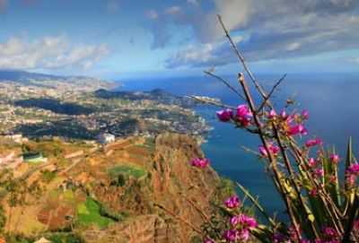 Cruise naar de Canarische eilanden en Madeira met Holland America Line