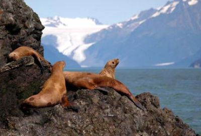 Cruise van Vancouver naar Juneau met Seabourn