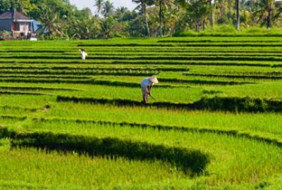 Expeditie cruise van Darwin naar Benoa met Silversea Cruises