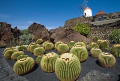 Cruise naar de Canarische eilanden met Seabourn