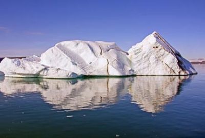 Expeditiecruise naar Antarctica en South Georgia met Silversea Cruises